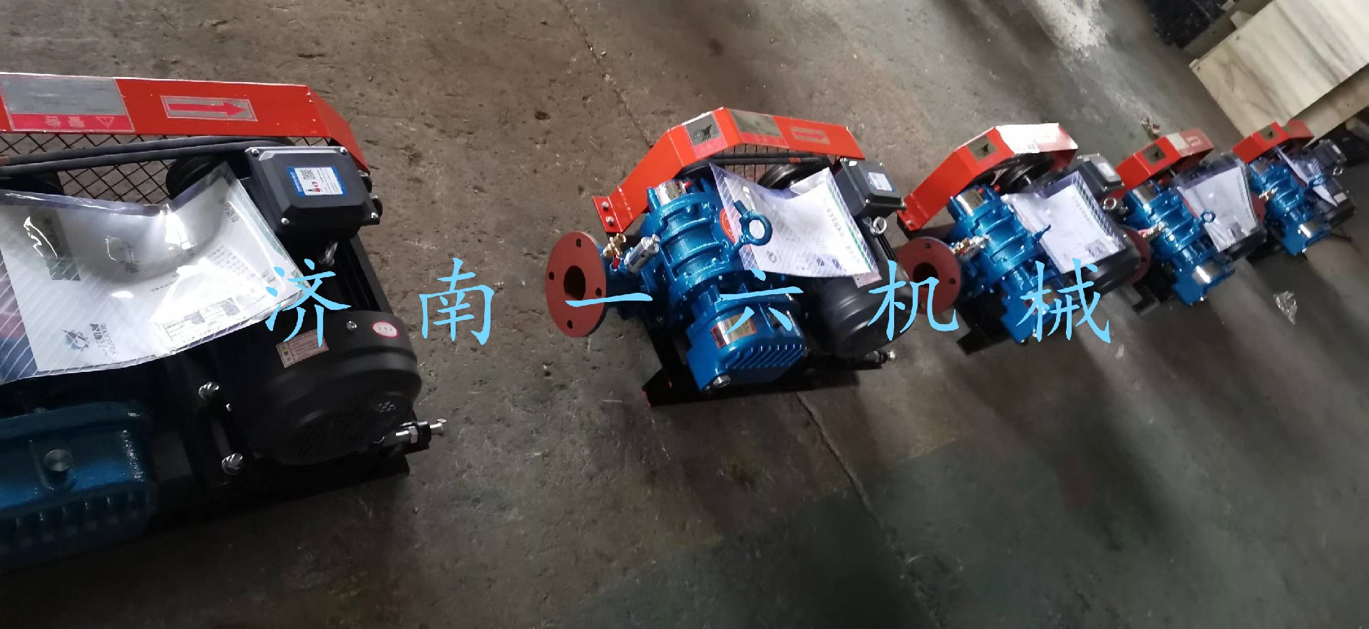 1669012431370526.jpg 1669012431370526.jpg